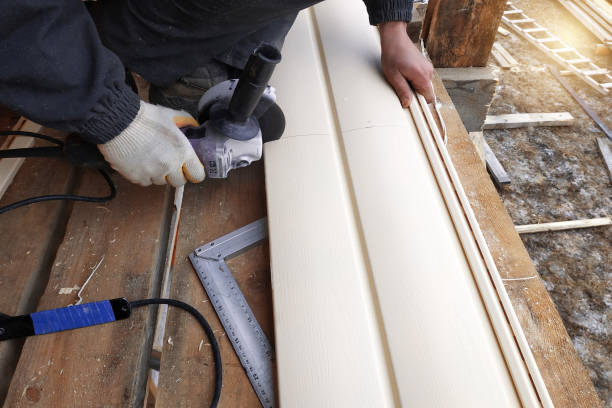 Best Brick Veneer Siding  in Mountain Village, CO