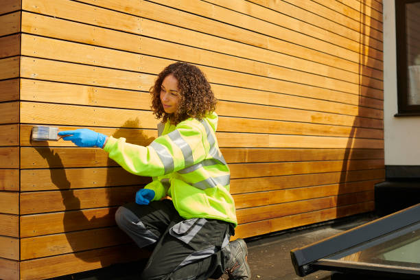 Best Siding Removal and Disposal  in Mountain Village, CO